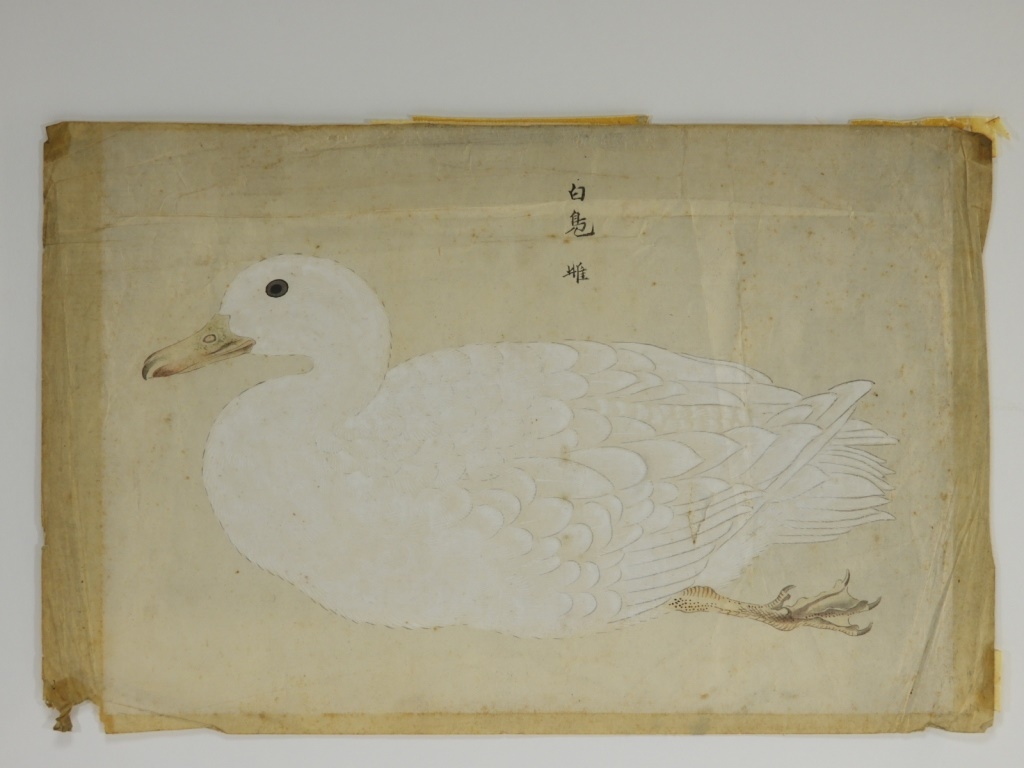 18C CHINESE WATERCOLOR PAPER PEKING