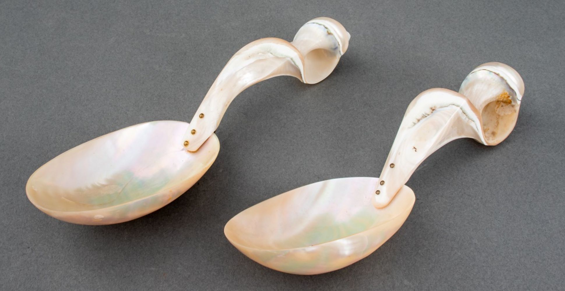 NAUTILUS SHELL SPOONS, PAIR Pair