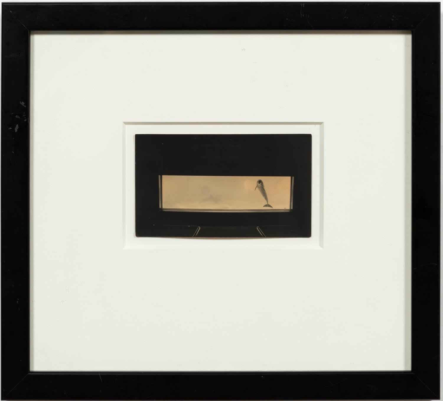 MASAO YAMAMOTO, "BOX OF KU #557"