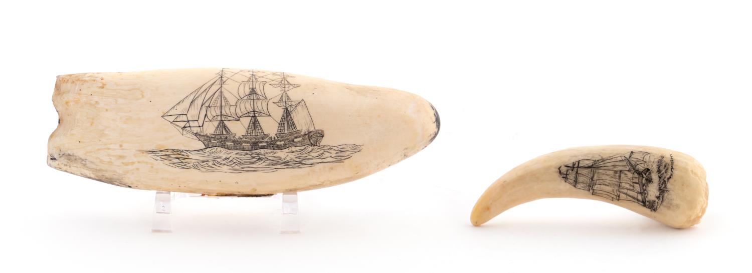 GROUP OF TWO SCRIMSHAW TEETH DEPICTING 35e1d7
