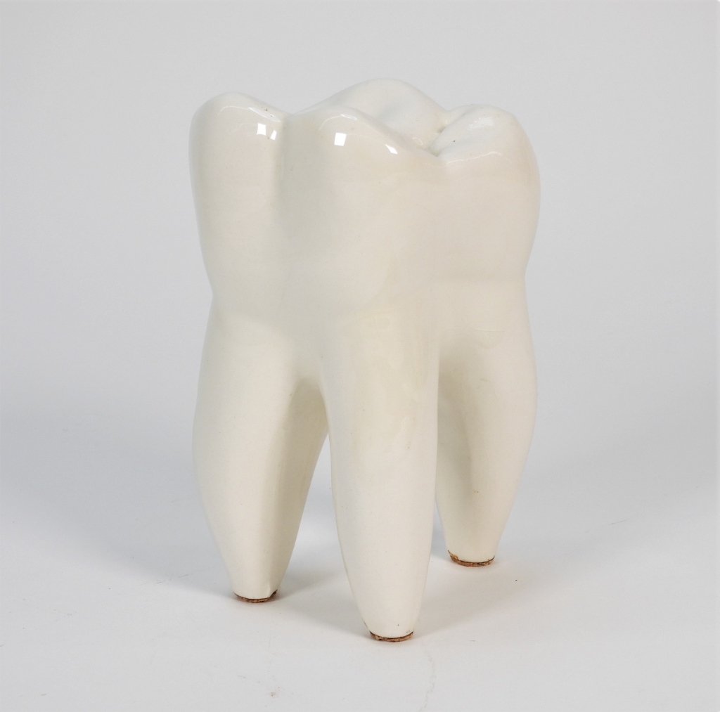 OLD WHITE PORCELAIN TOOTH MEDICAL 35e60f