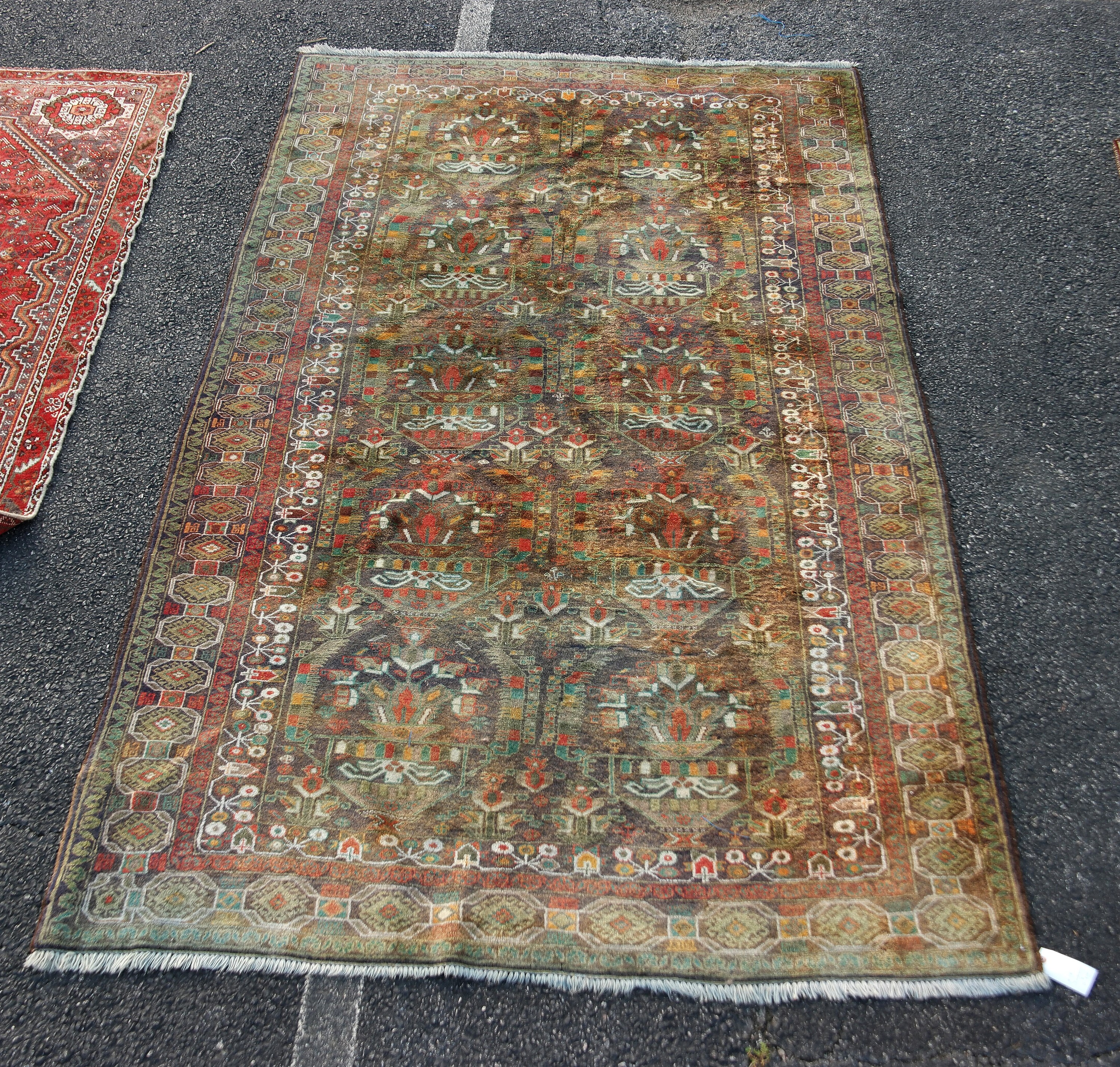 ORIENTAL RUG 5'8" X 10'1" TURKAMAN