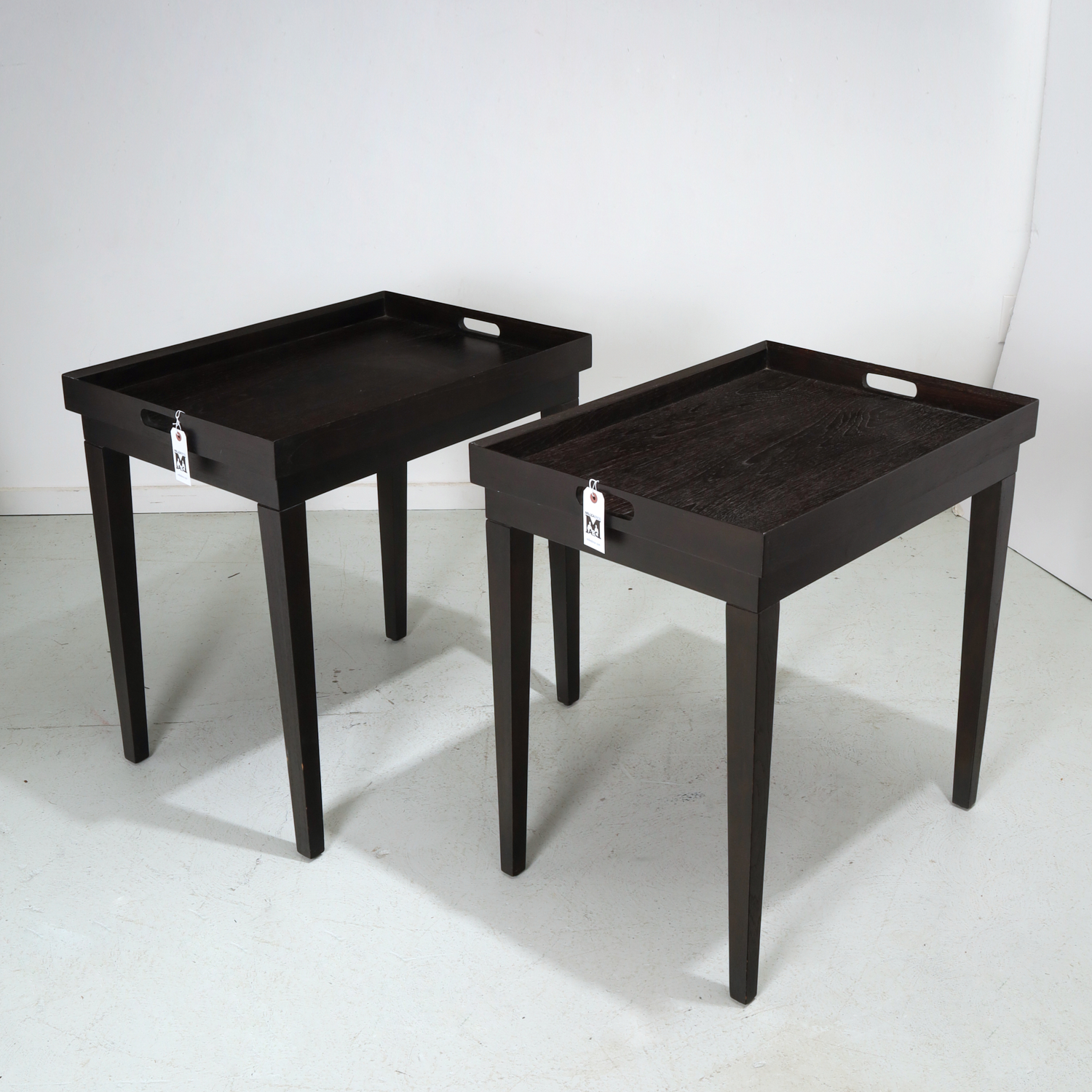 PAIR CONTEMPORARY DESIGNER TRAY 361750