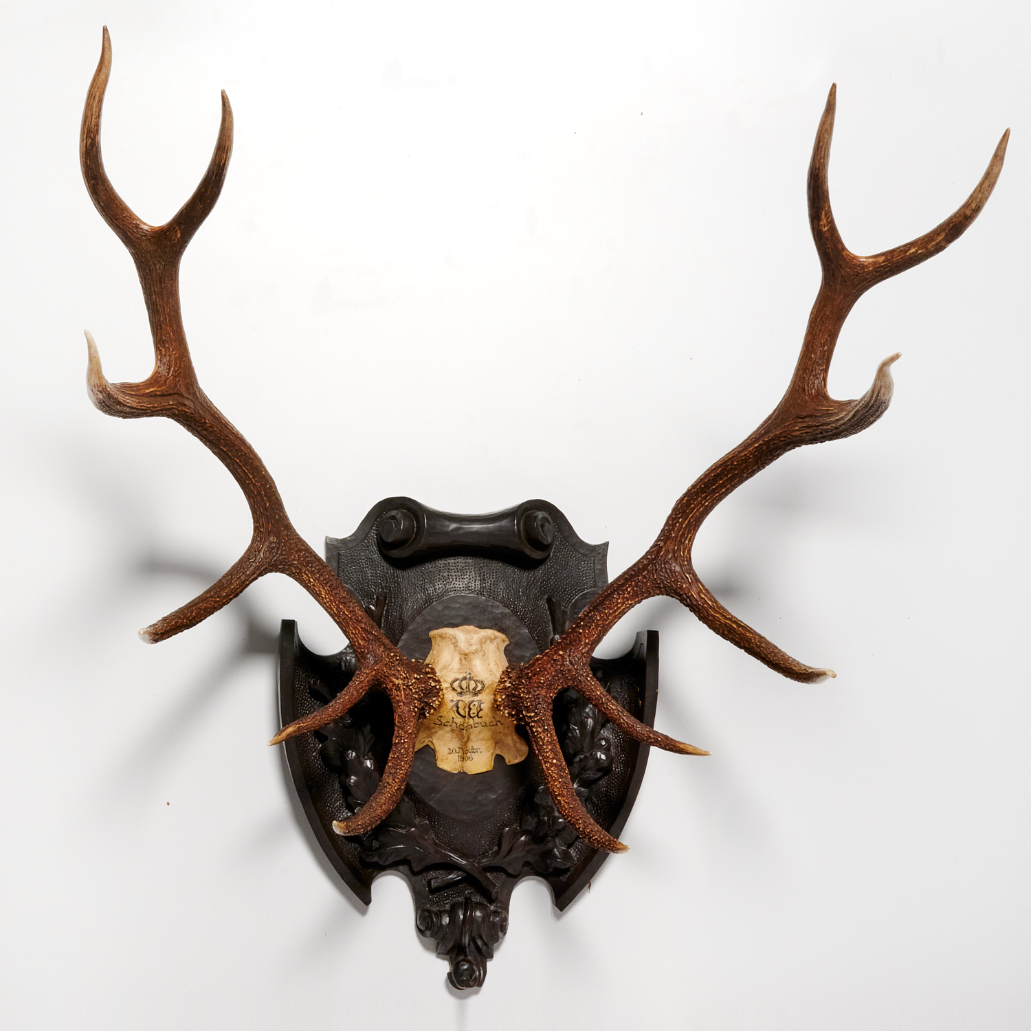 MOUNTED BLACK FOREST STAG 12 POINT 3620c8