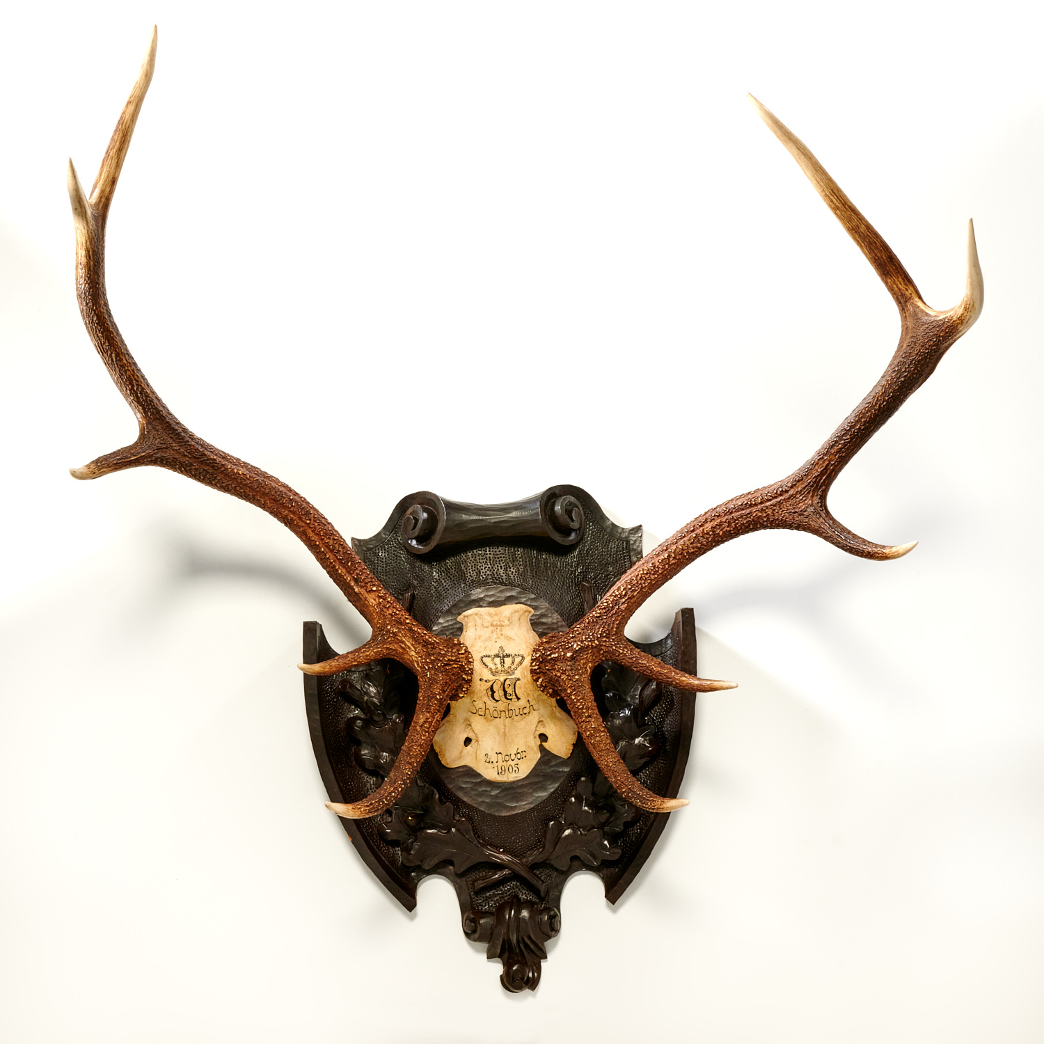 MOUNTED BLACK FOREST STAG 10 POINT 3620cb