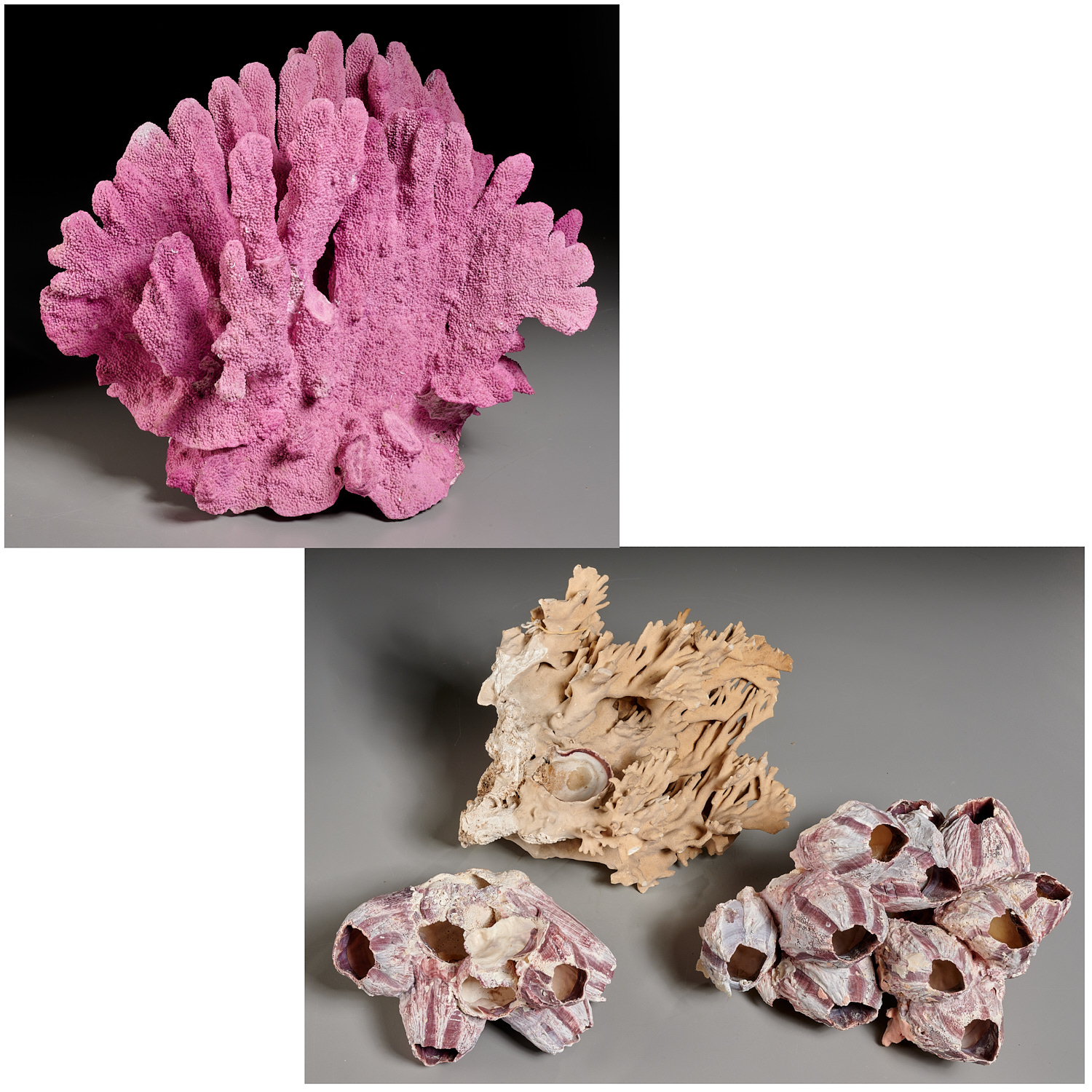  4 LARGE SPECIMENS CORAL AND PINK 362164