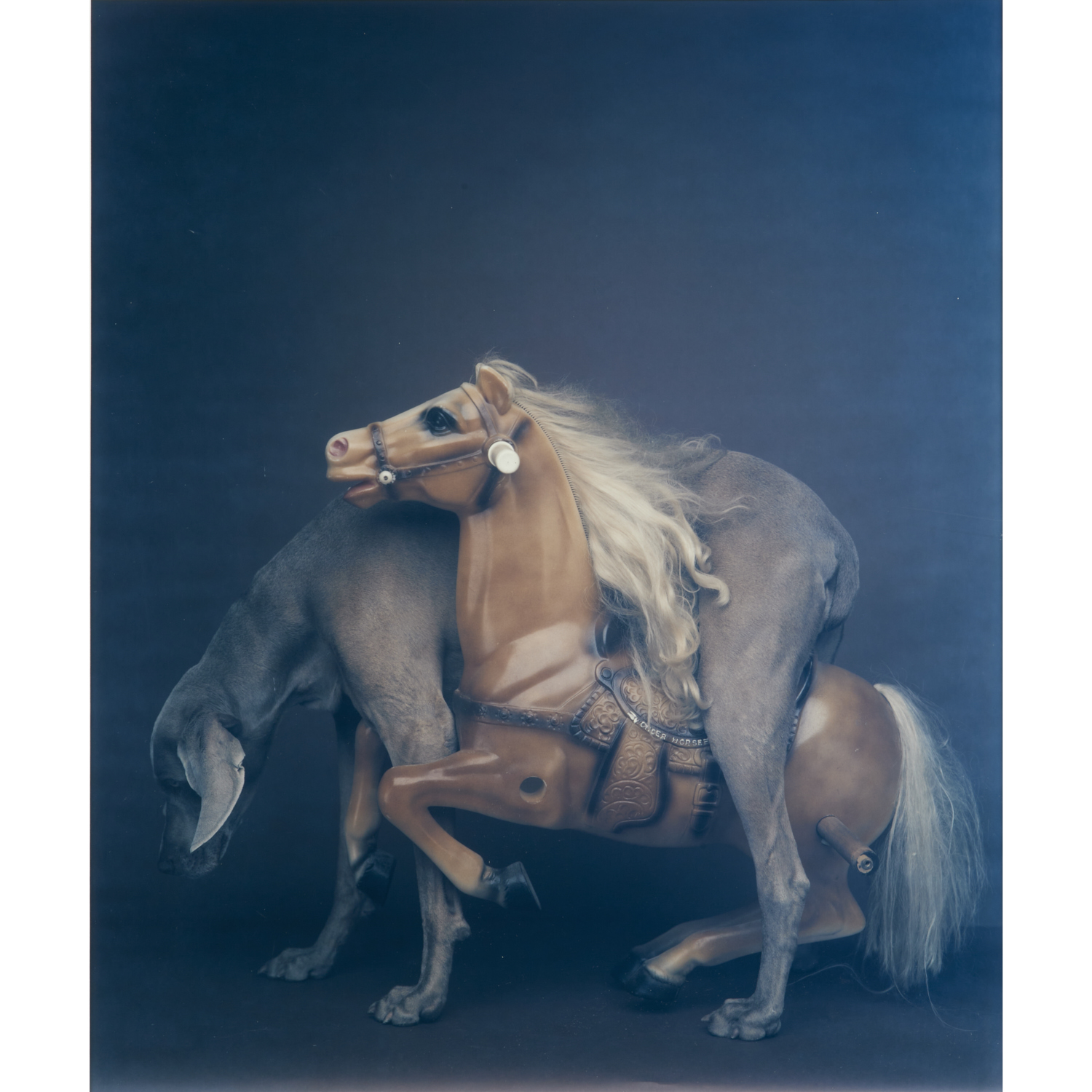 WILLIAM WEGMAN LARGE FORMAT PHOTOGRAPH  360c8a