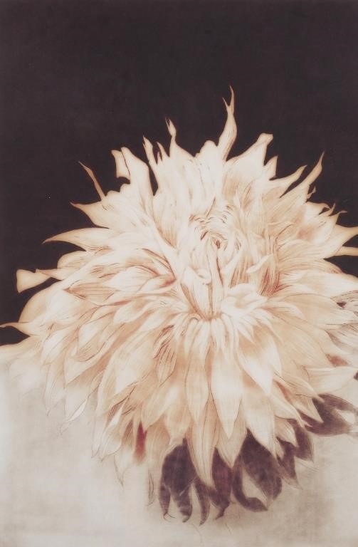 S.H. ROTHE, ETCHING, FLOWERSSummer Dahlia