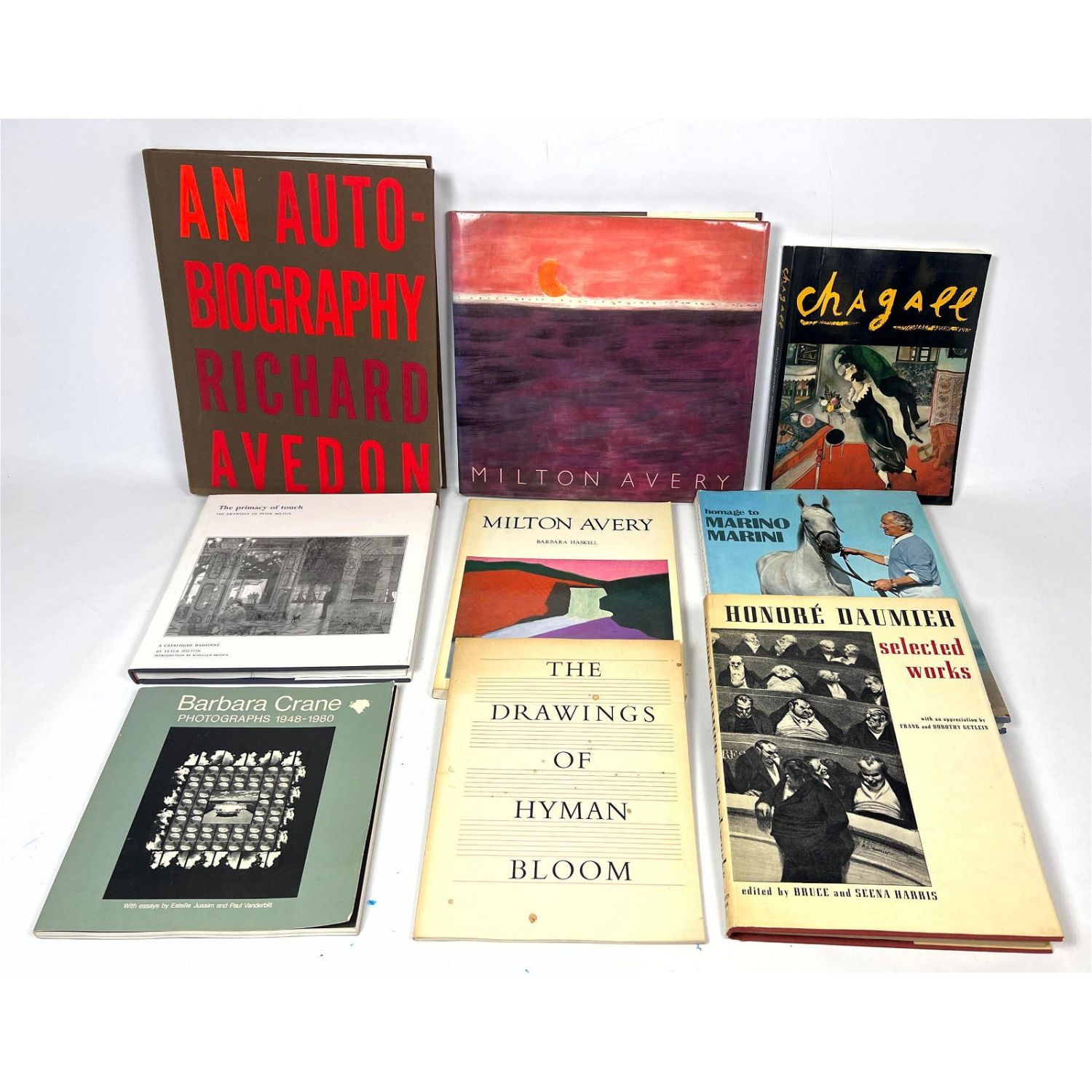 Lot Mid Century Art Books Chagall  362ccc