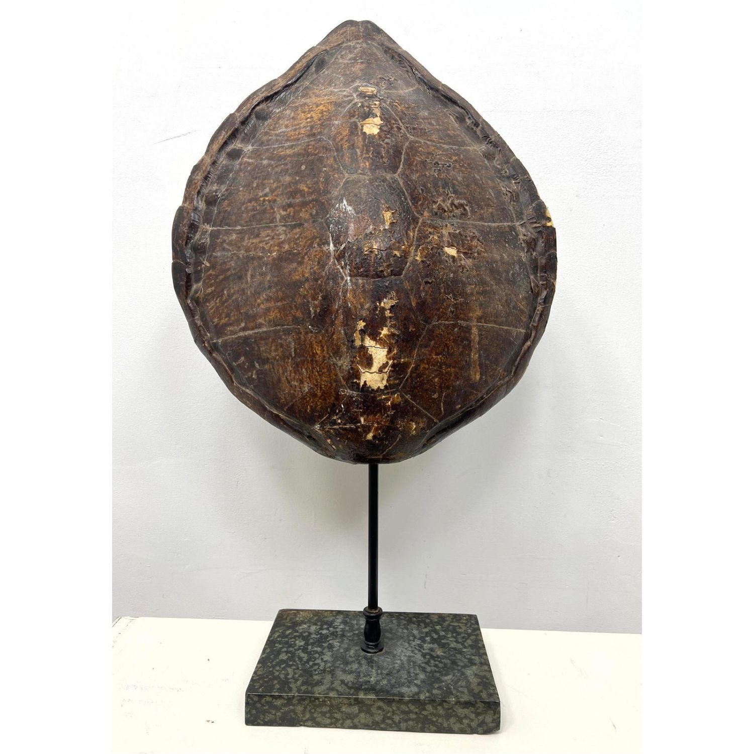 Turtle Form Reflector Table Lamp  362d0e