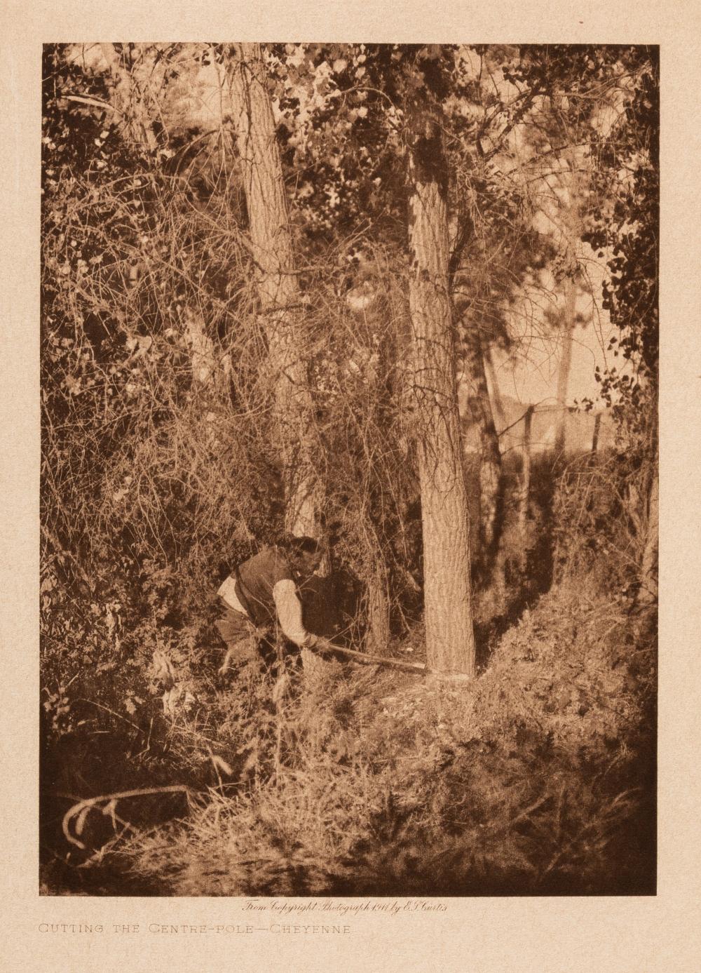 EDWARD S CURTIS CUTTING THE CENTER 363421