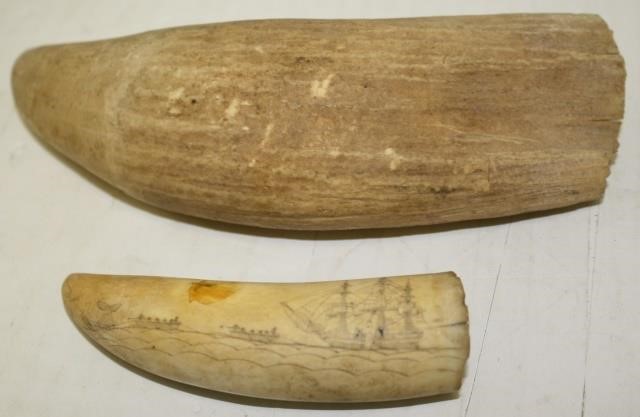 TWO 19TH C WHALES TEETH.  ONE HAS