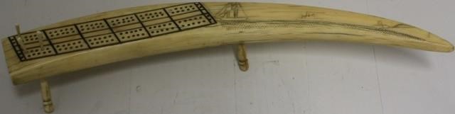 19TH C CARVED WALRUS TUSK CRIBBAGE