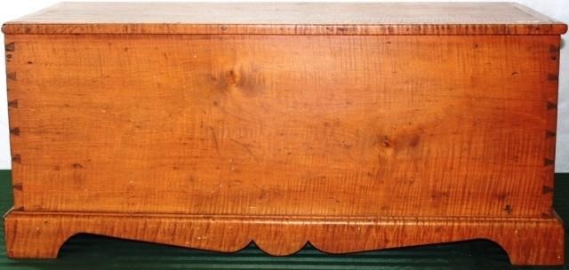 EARLY 19TH C DOVETAILED TIGER MAPLE