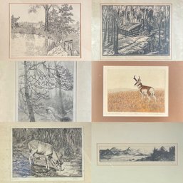 Five vintage etchings by various