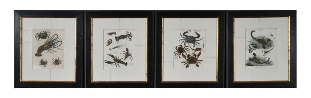 (4) CRUSTACEAN ZOOLOGICAL PRINTS,