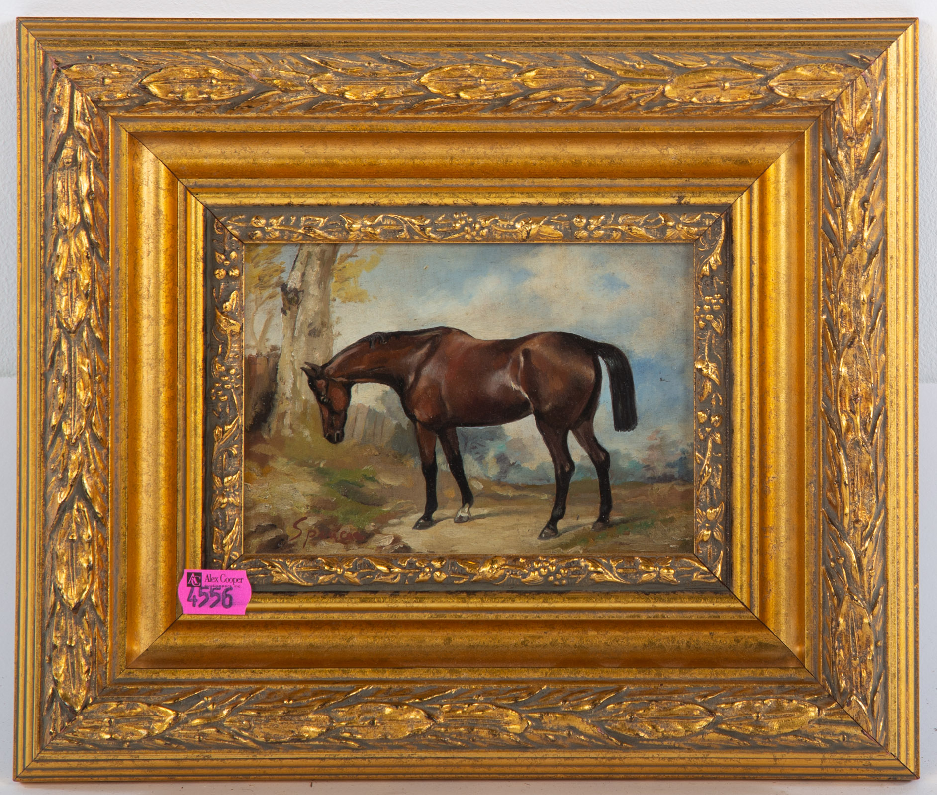 SPENCER HORSE PORTRAIT OIL Oil 36938b