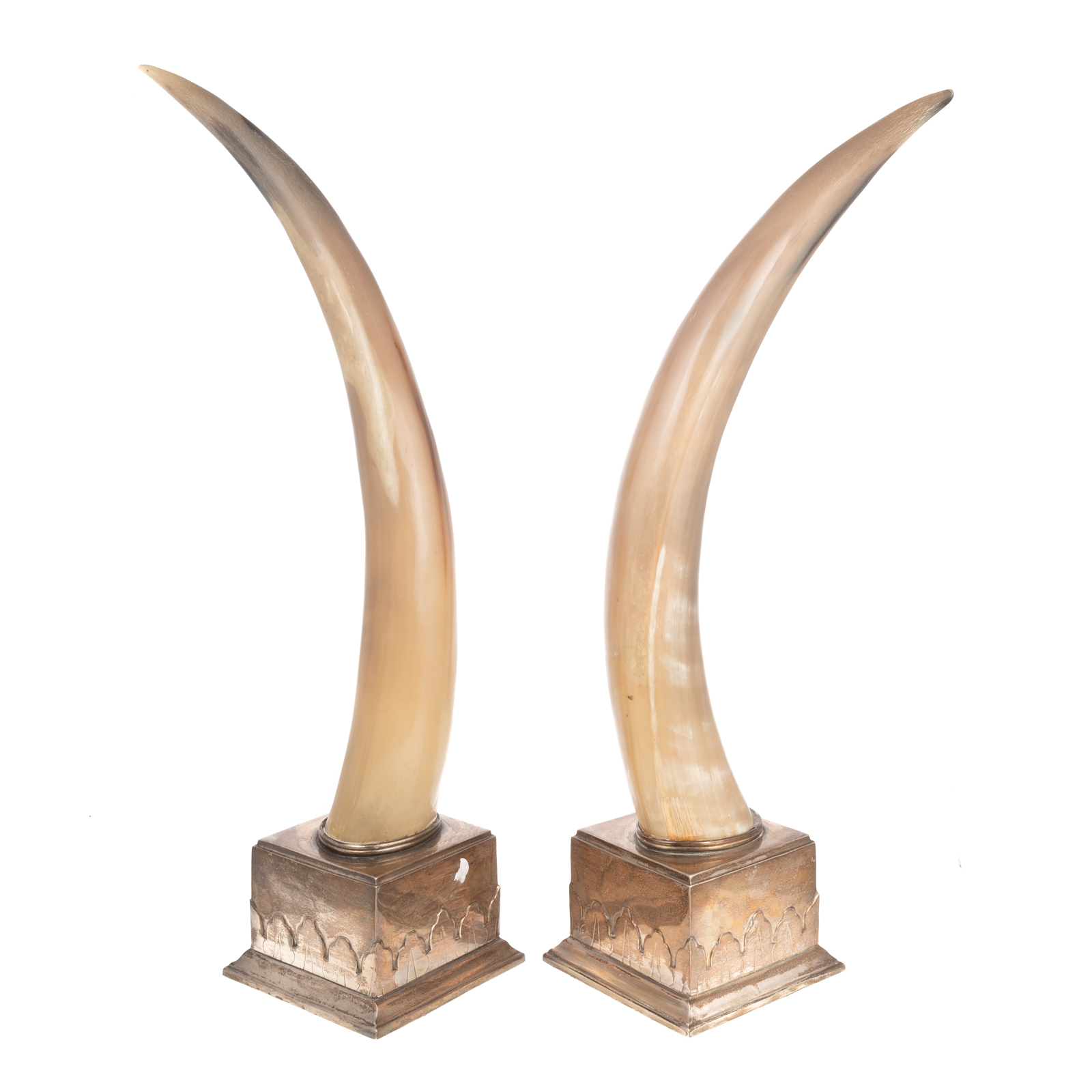 A PAIR OF DECORATIVE HORNS Dated