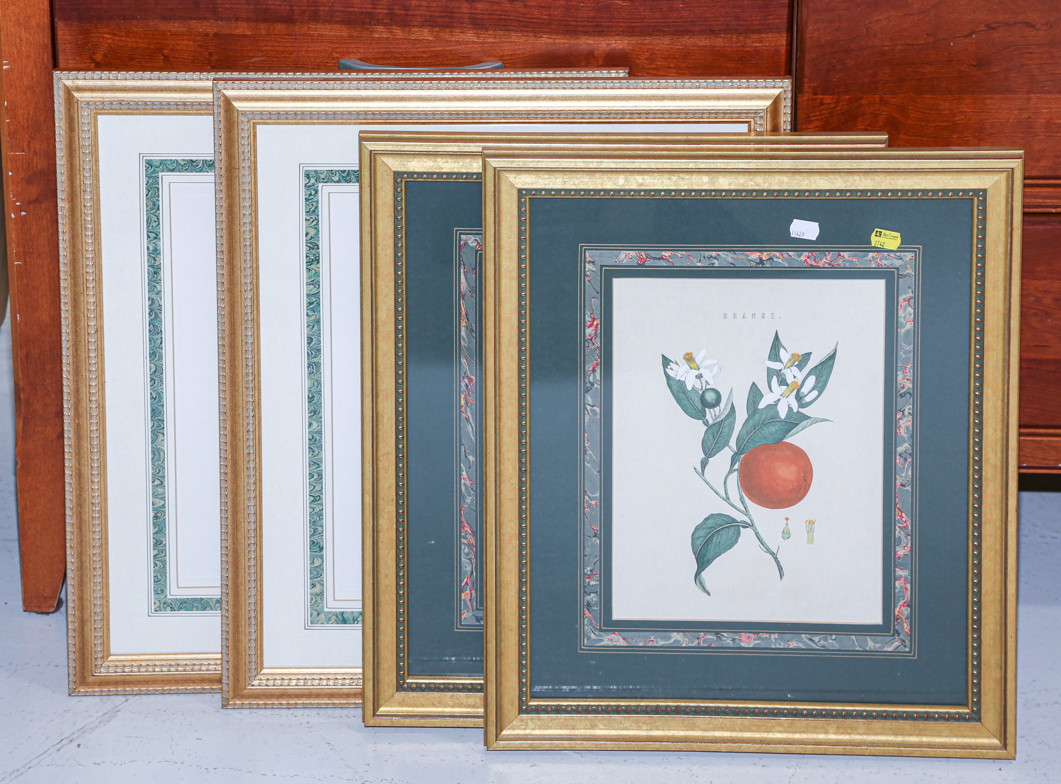 FOUR FRAMED BOTANICAL PRINTS Modern 369df3