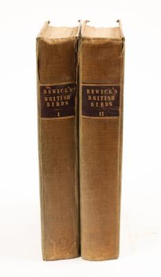 Bewick (T), History of British