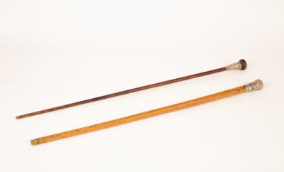 Two cane walking sticks, both with