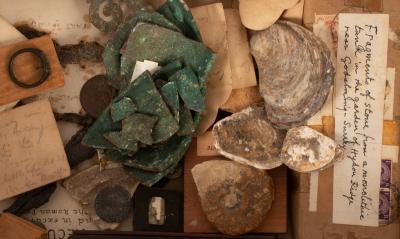 A quantity of Archaeological finds  36b38c