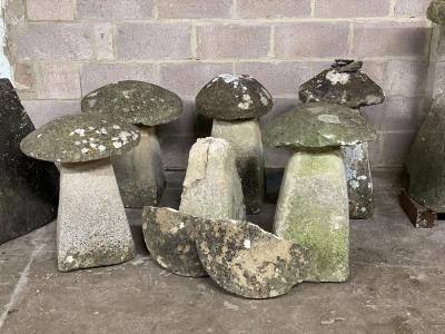 Six stone staddle stones of various