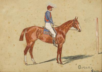 G Paice/Avona/portrait of the racehorse