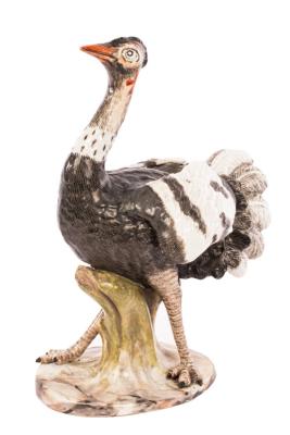 A Fürstenberg model of an ostrich,