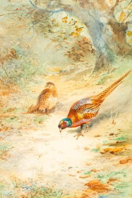 James Stinton (1870-1961): Pheasants