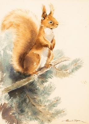 Eileen Alice Soper (1905-1990)/Red Squirrel