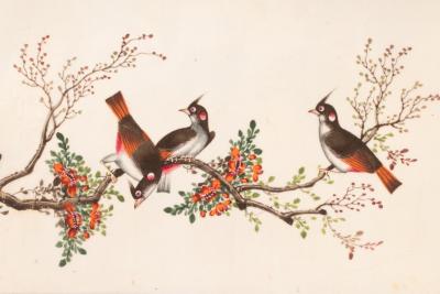 Chinese School, 19th Century/Ornithological