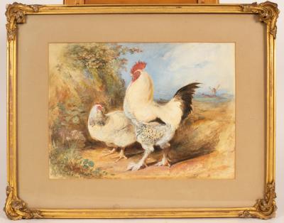 Charles Henry Weigall (1794-1877)/Cockerel