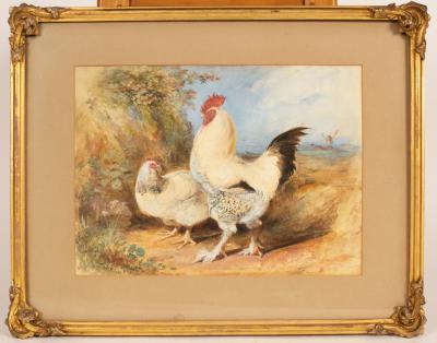 Charles Henry Weigall 1794 1877 Cockerel 36c2de