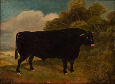 English Na ve School 19th Century Bull 36c6d8