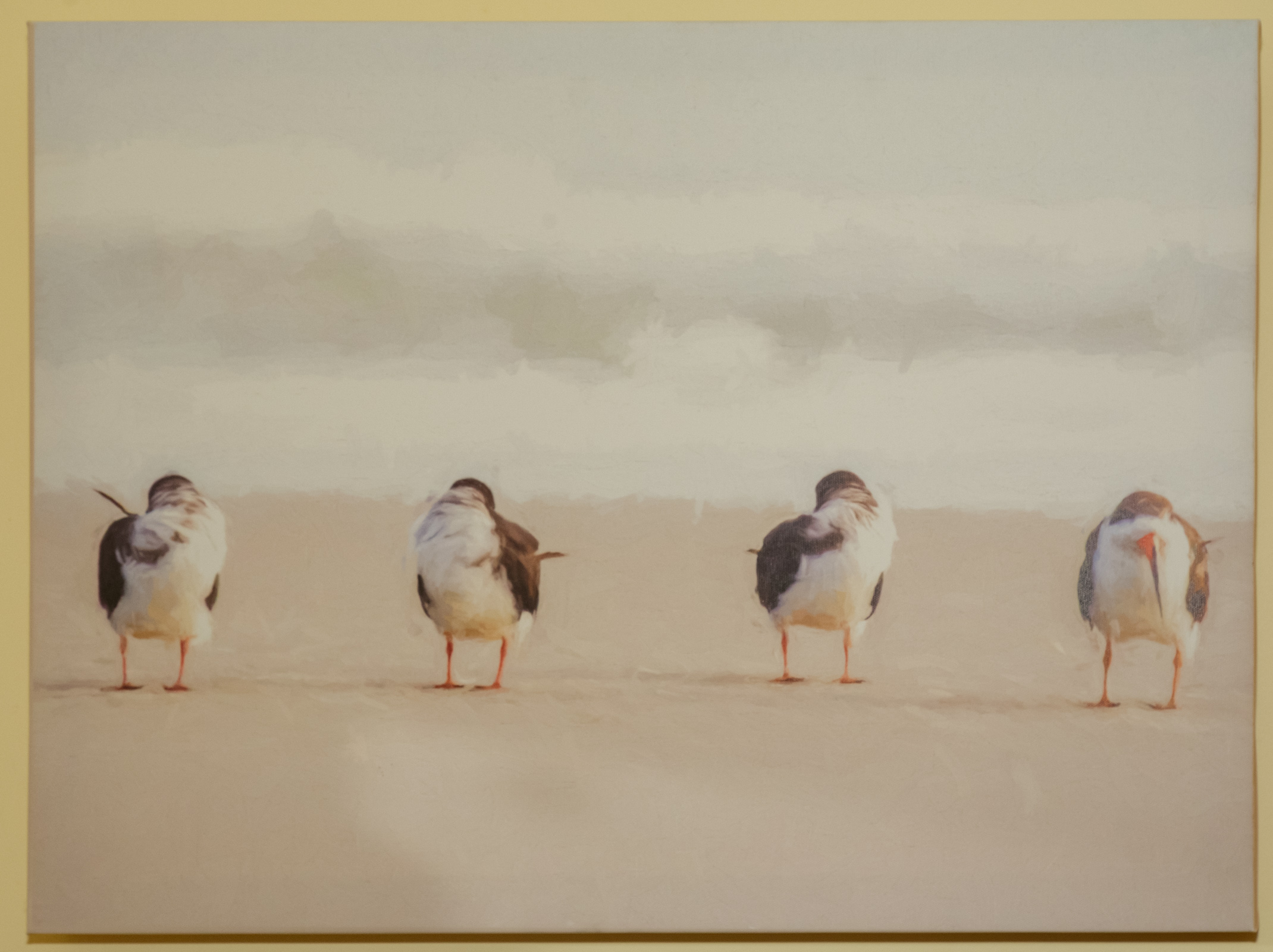 PHOTO CANVAS PRINT OF SANDPIPERS