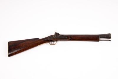 A percussion cap blunderbuss, with