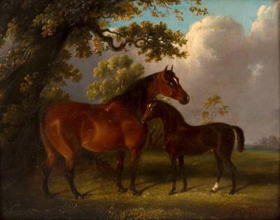 Edwin May Fox act 1830 1870 Horse 36d9a2