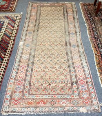 A Northwest Persian runner, circa 1900,