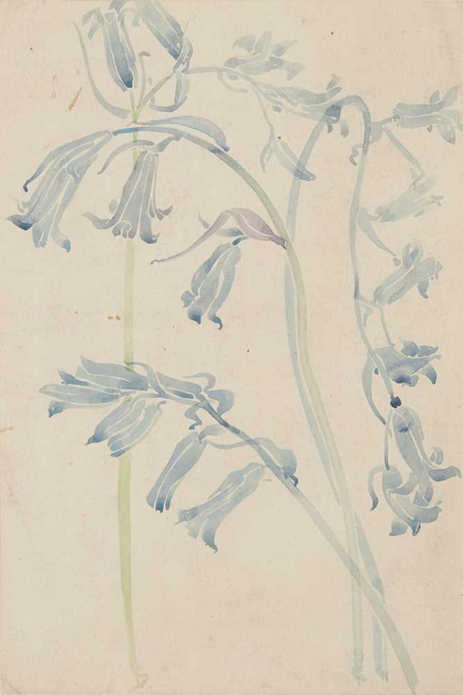 CHARLES RENNIE MACKINTOSH 1868 1928 HAREBELLS 36dcda