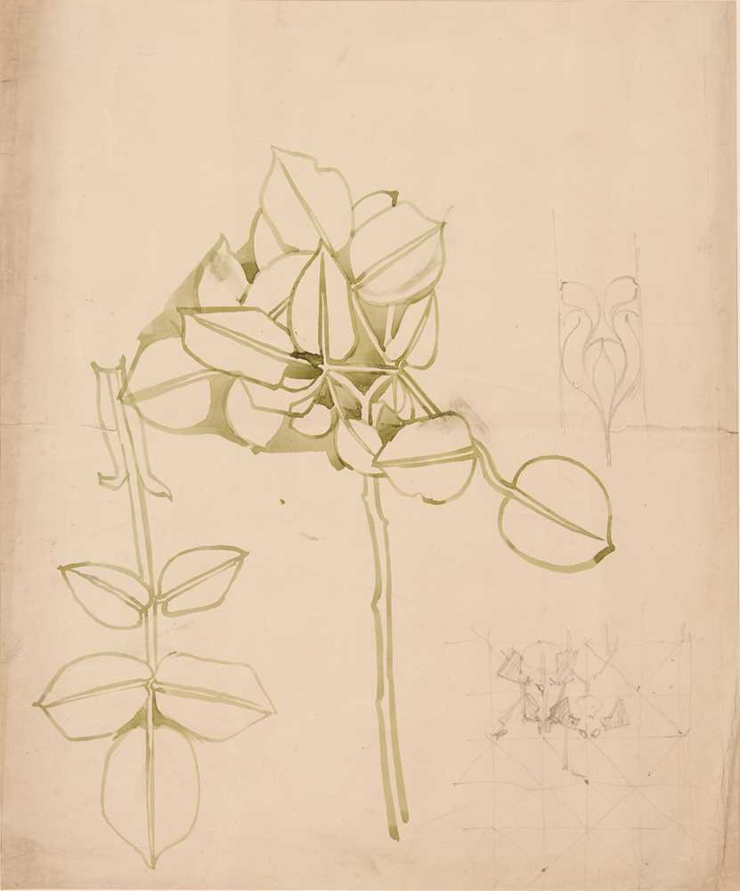 CHARLES RENNIE MACKINTOSH (1868-1928)
PLANT