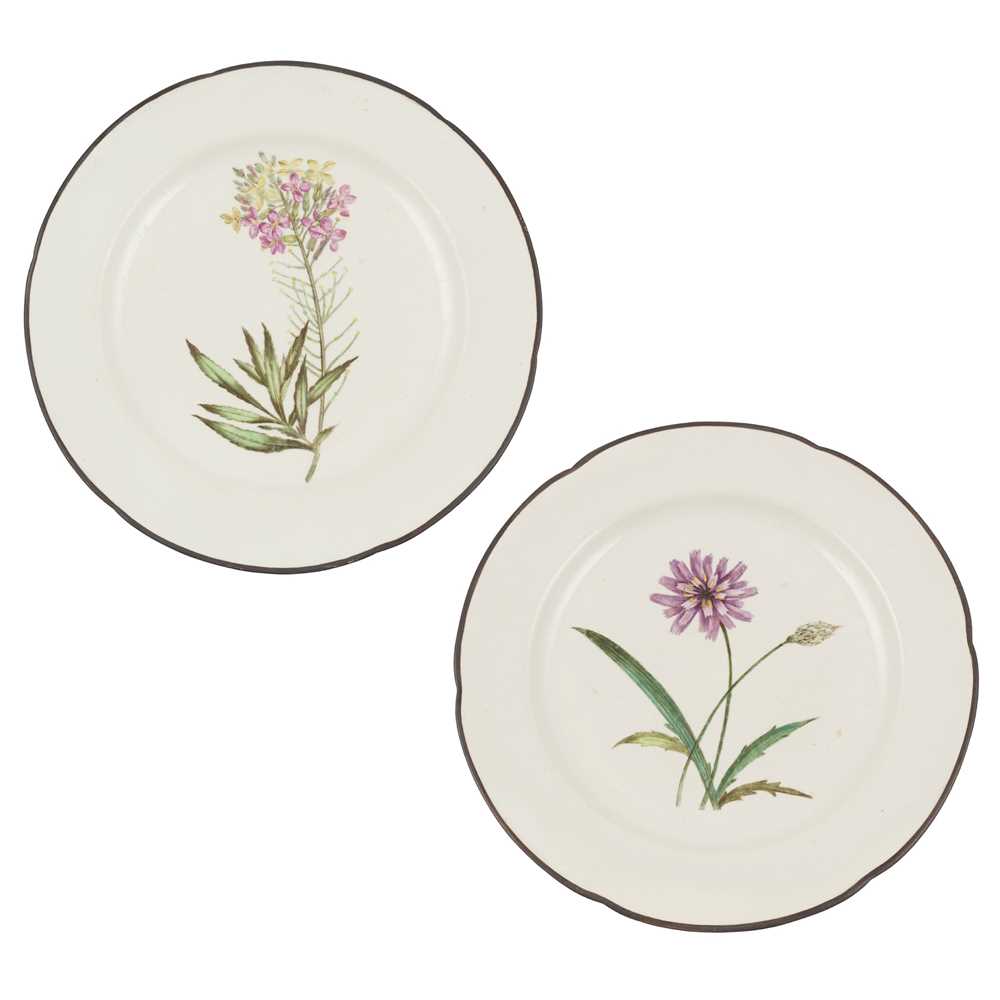 TWO DERBY BOTANICAL PLATES EARLY 36e17d