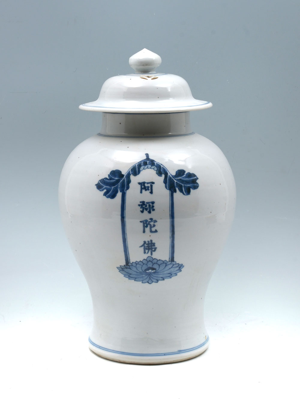 LARGE CHINESE BLUE & WHITE JAR:
