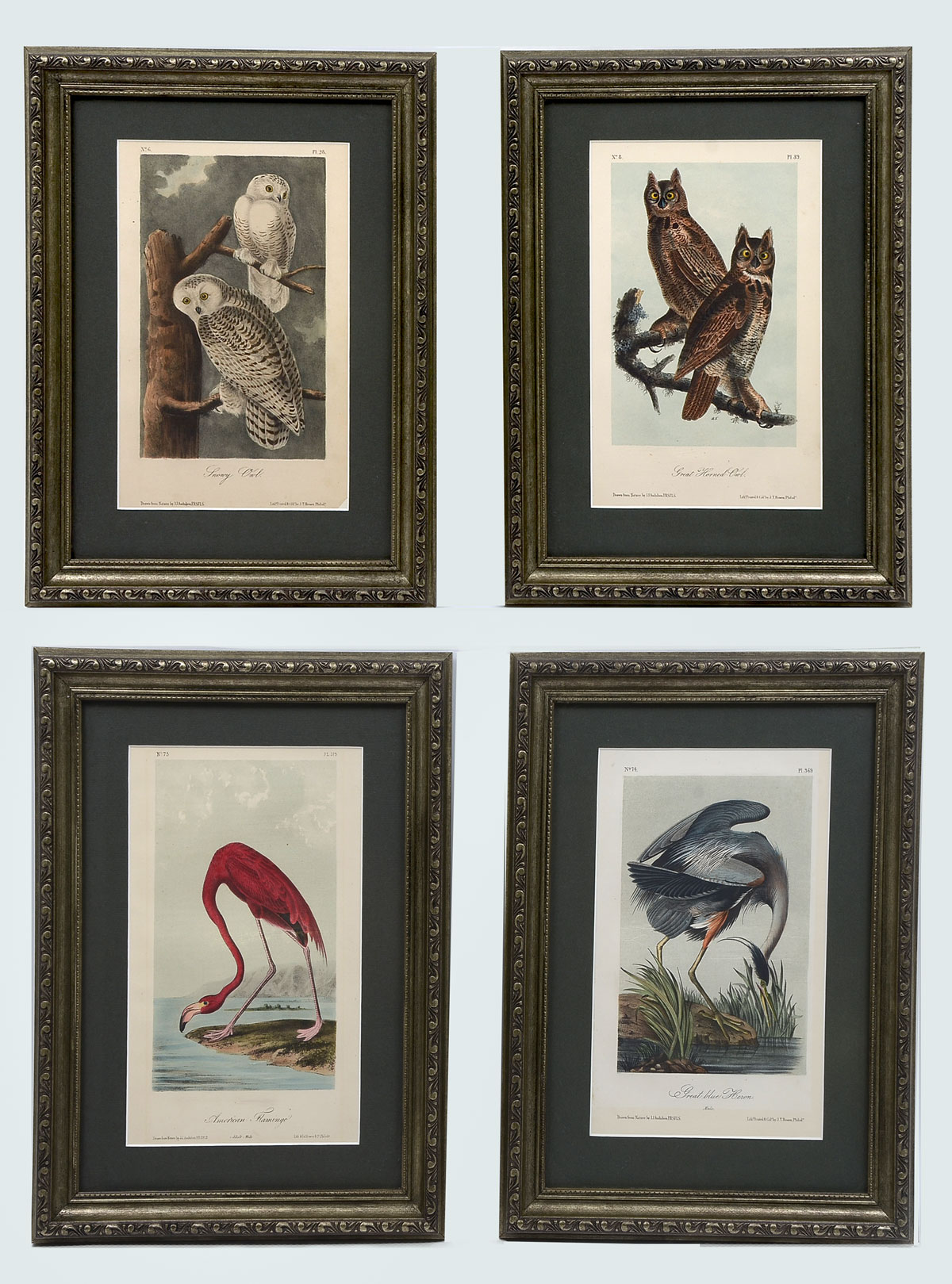 FOUR AUDUBON OCTAVO LITHOGRAPHS  36e47c