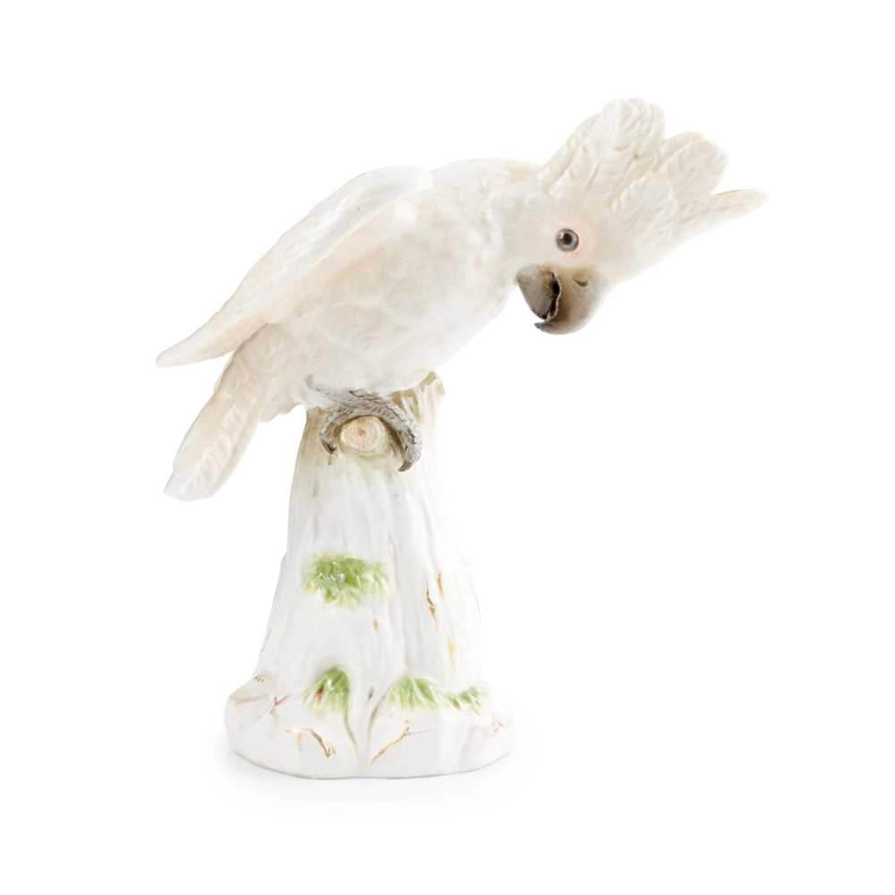 MEISSEN MODEL OF A COCKATOO
20TH