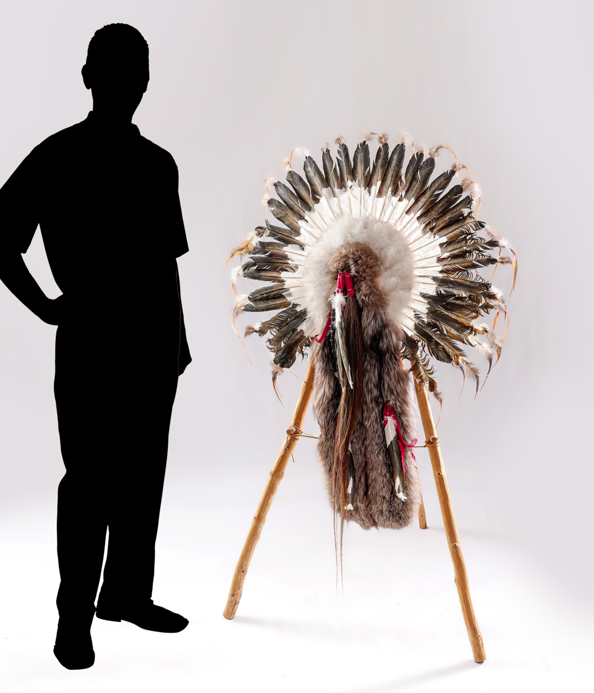 NATIVE AMERICAN FEATHER SHIELD: