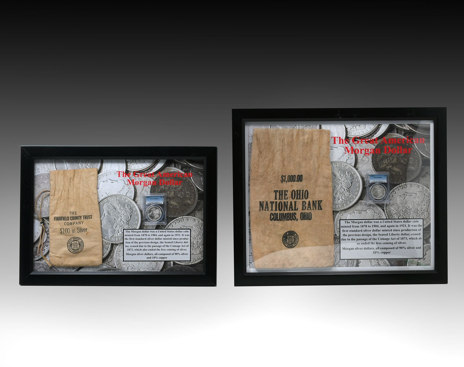 2 PIECE FRAMED MORGAN DOLLARS: