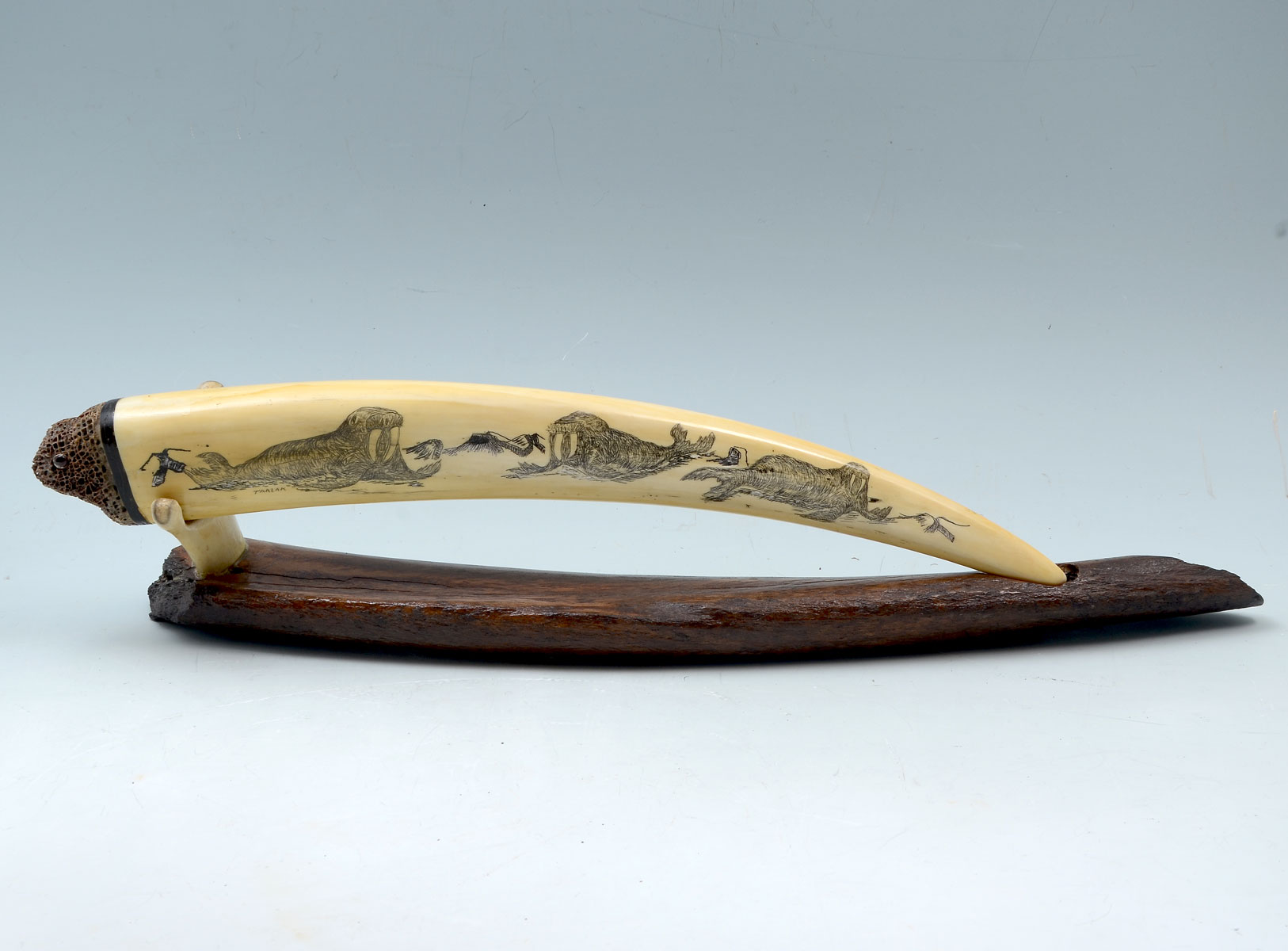 ALASKAN HAND CARVED WALRUS TUSK ON STAND: