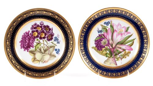 PAIR OF OLD PARIS DARTE BOTANICAL PLATESPAIR