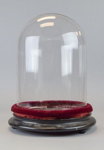 GLASS DOME ON WOODEN BASE13 1/4"H